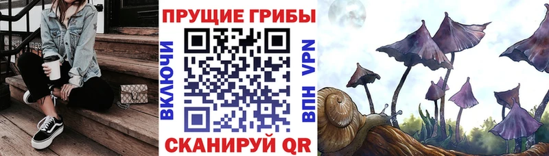 Галлюциногенные грибы прущие грибы  Новое Девяткино 